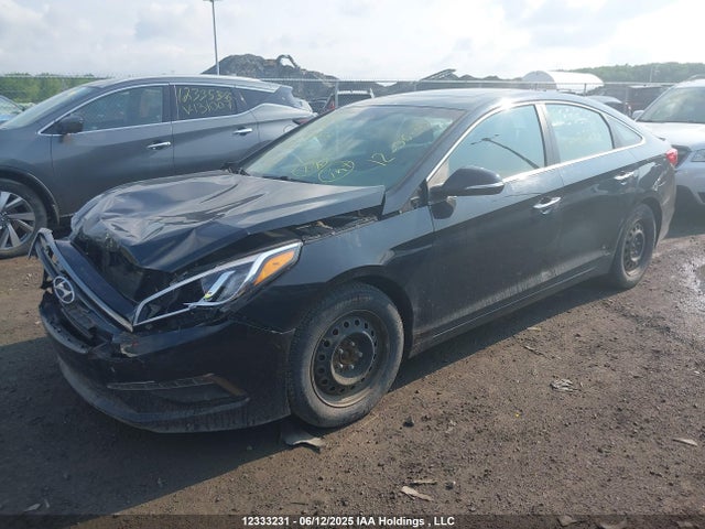 5NPE24AF9HH469337 Hyundai Sonata