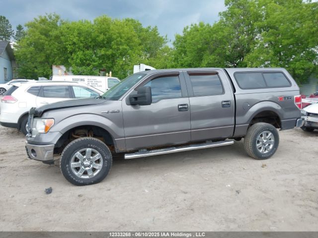 1FTFW1EFXEFB05189 Ford 2014