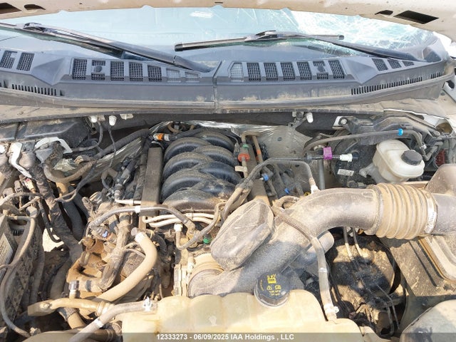 Ford 5.0l 4v 2020 1FTFW1E56LKD20807 Image 10