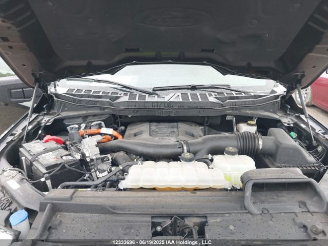 1FTFW1ED7PFB92423 Ford F-150