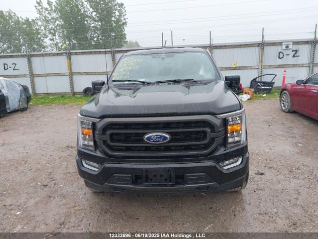 1FTFW1ED7PFB92423 Ford F-150