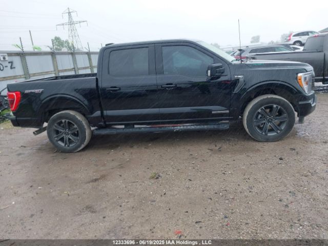 1FTFW1ED7PFB92423 Ford F-150