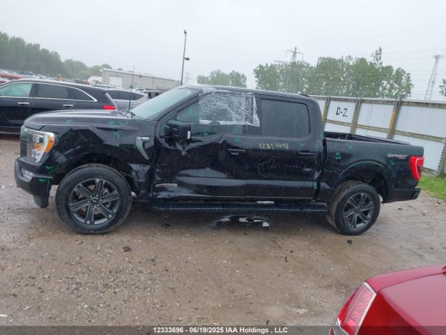 1FTFW1ED7PFB92423 Ford F-150