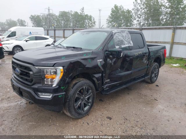 1FTFW1ED7PFB92423 Ford F-150