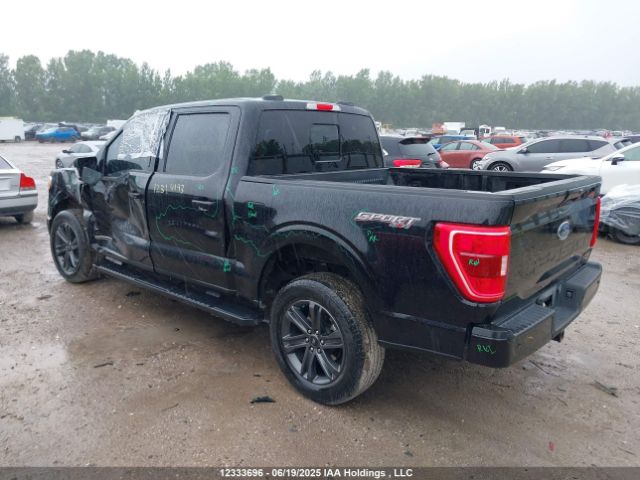 1FTFW1ED7PFB92423 Ford F-150