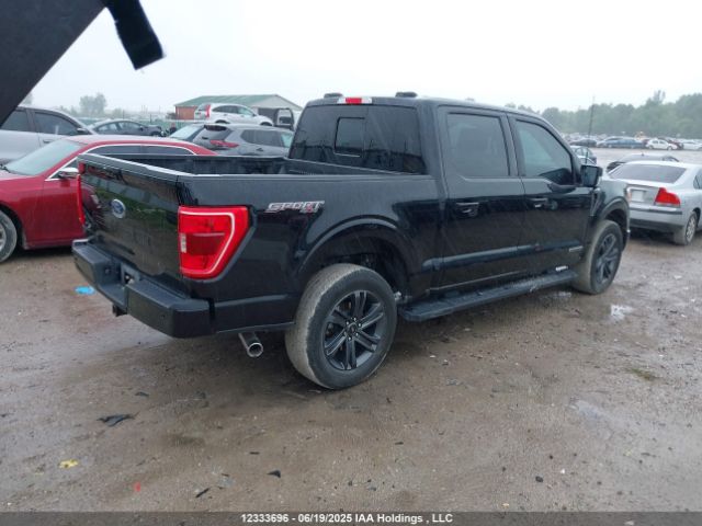 1FTFW1ED7PFB92423 Ford F-150