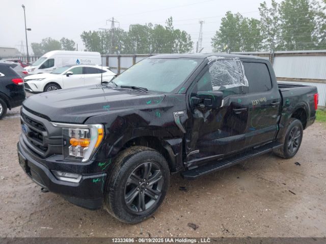 1FTFW1ED7PFB92423 Ford F-150