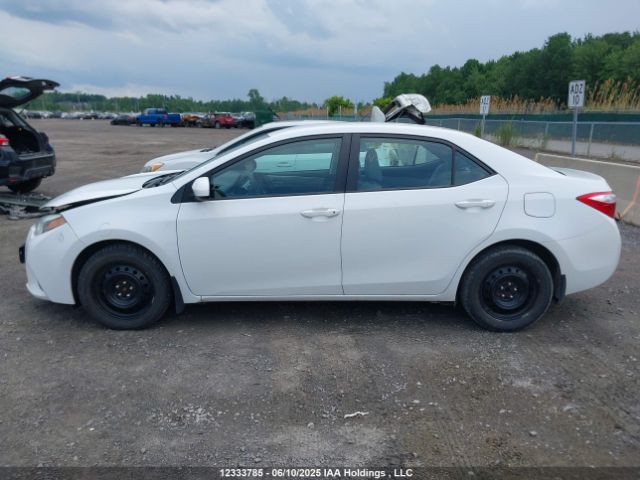 2T1BURHE6GC493314 Toyota COROLLA LE