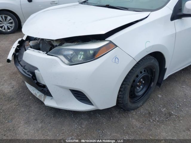 2T1BURHE6GC493314 Toyota COROLLA LE