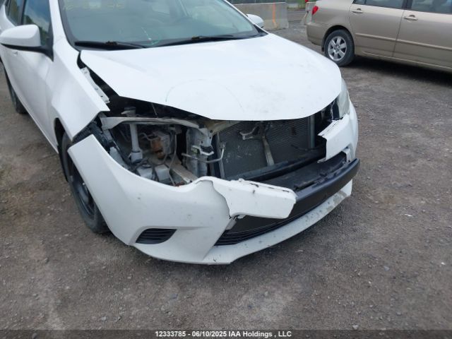 2T1BURHE6GC493314 Toyota COROLLA LE