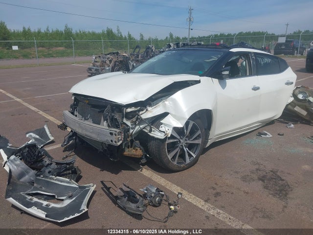 1N4AA6AP9GC395049 Nissan Maxima