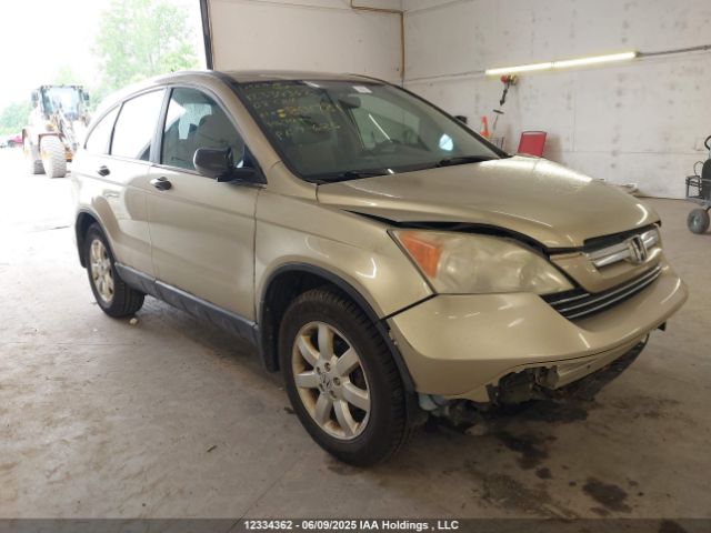 Продаж на аукціоні авто 2008 Honda Cr-v, vin: 5J6RE48588L801781, номер лоту: 12334362