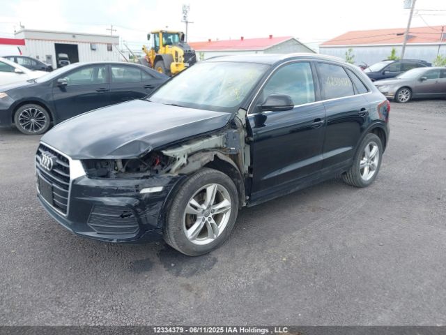 WA1JFCFS2GR013703 Audi Q3