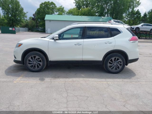 5N1AT2MV8GC873349 Nissan Rogue