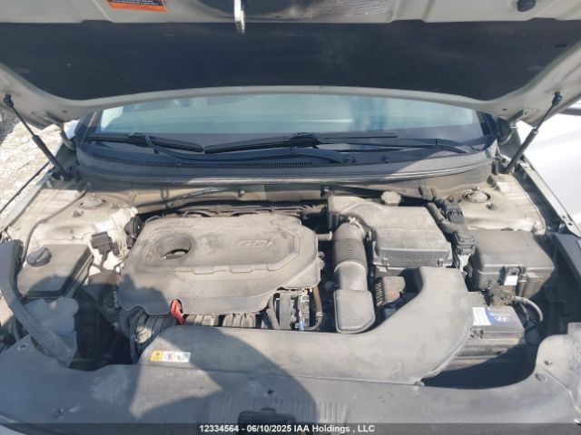 5NPE24AF7HH486525 Hyundai 2017