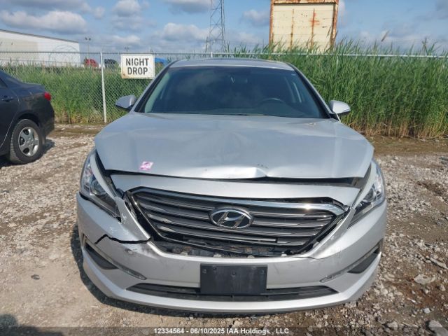 5NPE24AF7HH486525 Hyundai 2017