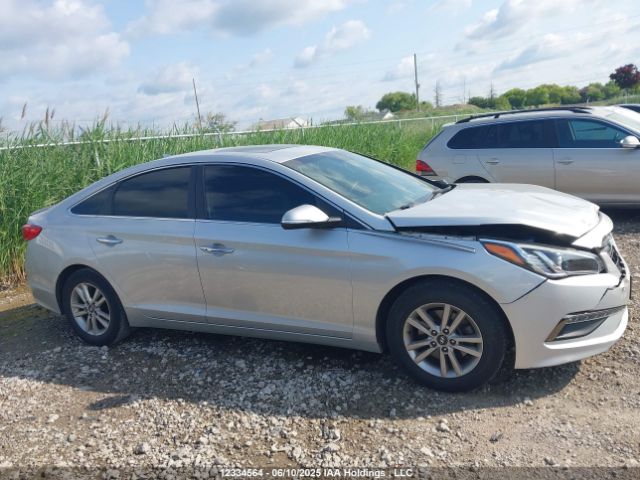 5NPE24AF7HH486525 Hyundai 2017
