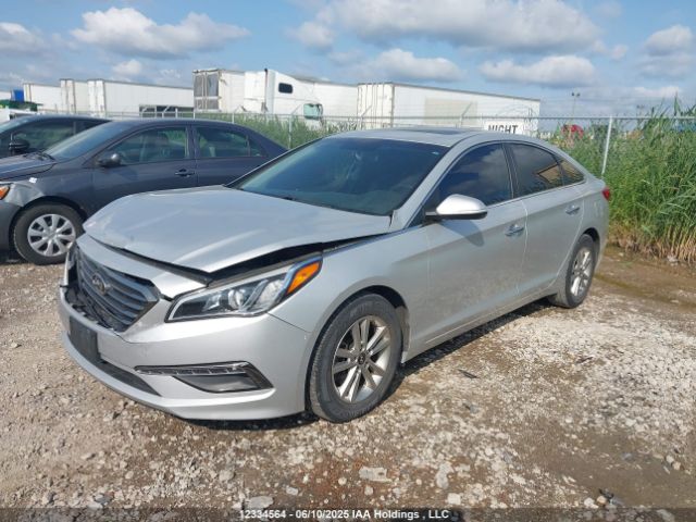 5NPE24AF7HH486525 Hyundai 2017