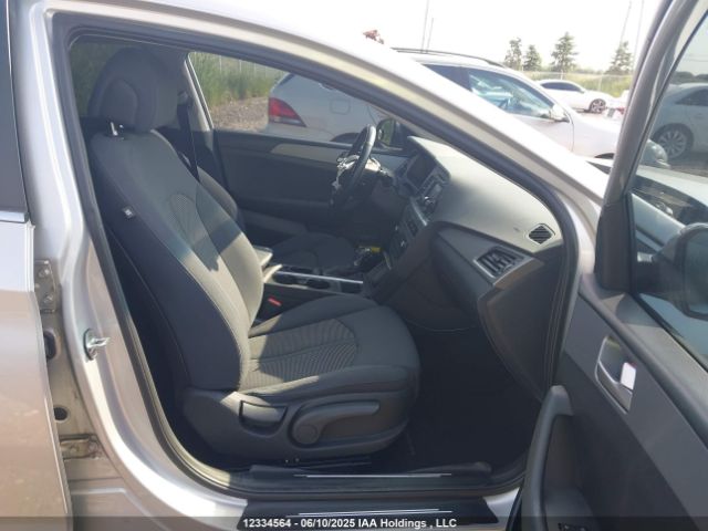5NPE24AF7HH486525 Hyundai 2017