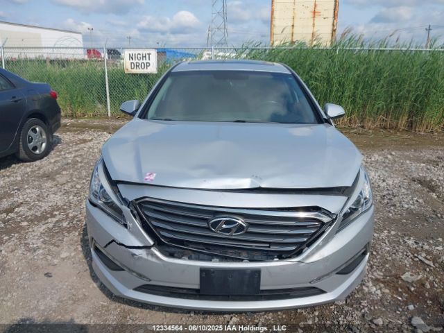 5NPE24AF7HH486525 Hyundai 2017