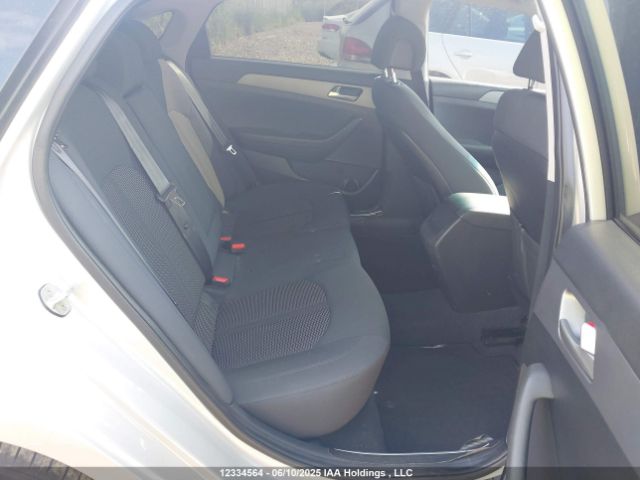 5NPE24AF7HH486525 Hyundai 2017
