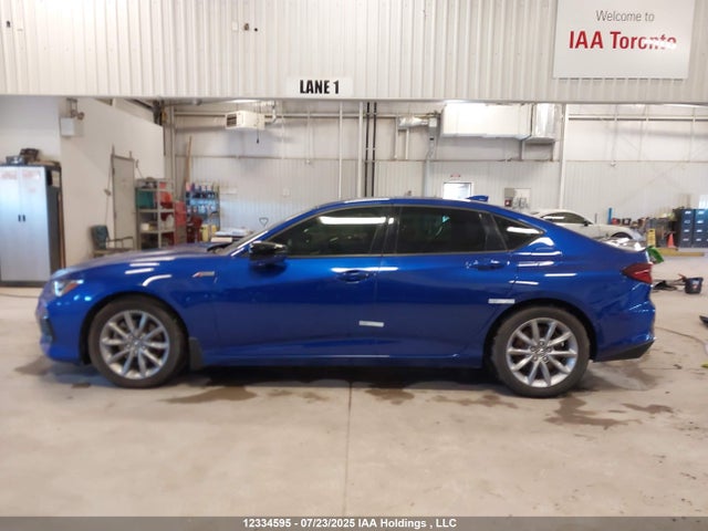 19UUB6F51MA801846 Acura k20c6