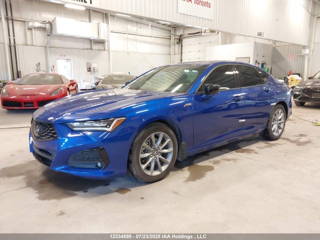 19UUB6F51MA801846 Acura k20c6