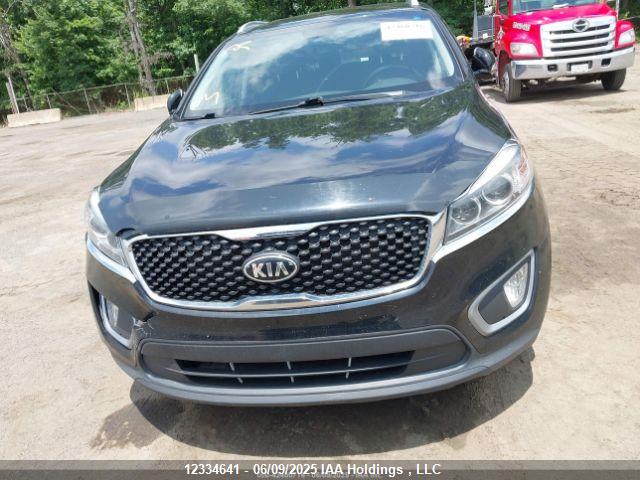 KIA dohc gdi lambda ii 2016 5XYPGDA51GG090579 Image 13