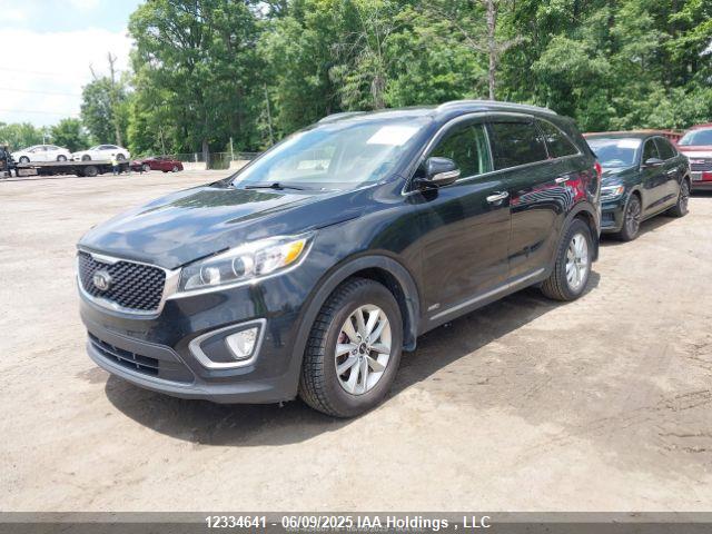 KIA dohc gdi lambda ii 2016 5XYPGDA51GG090579 Image 3
