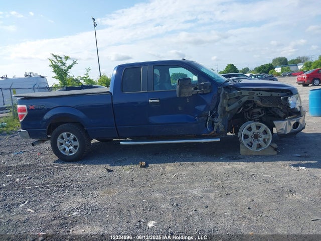 2011 Ford F-150 Xlt მანქანა იყიდება აუქციონზე, vin: 1FTFX1EF0BFA00699, აუქციონის ნომერი: 12334896