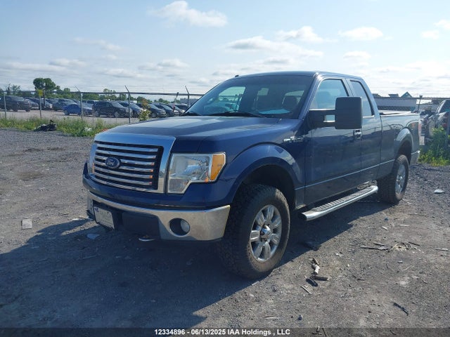 2011 Ford F-150 Xlt მანქანა იყიდება აუქციონზე, vin: 1FTFX1EF0BFA00699, აუქციონის ნომერი: 12334896
