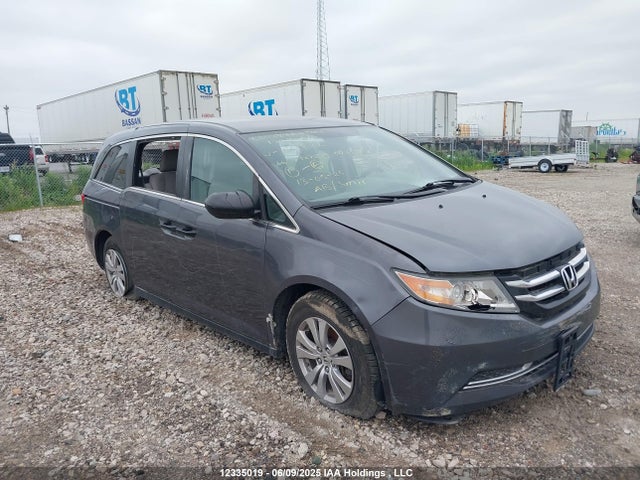 5FNRL5H31GB511822 Honda ODYSSEY SE