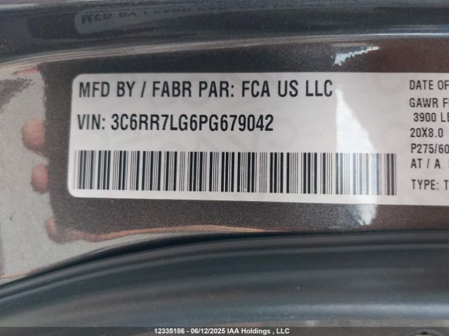 3C6RR7LG6PG679042 RAM 1500