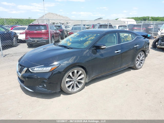 Nissan Maxima 2022 1N4AA6FV3NC506280 Image 2