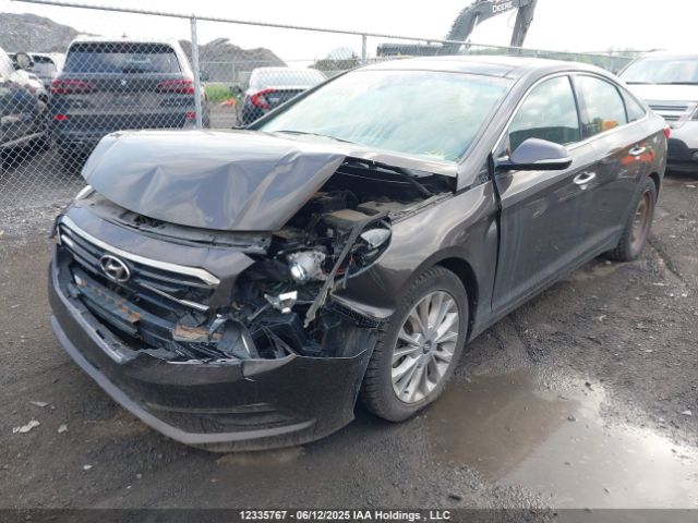 5NPE34AFXFH236996 Hyundai Sonata Limited