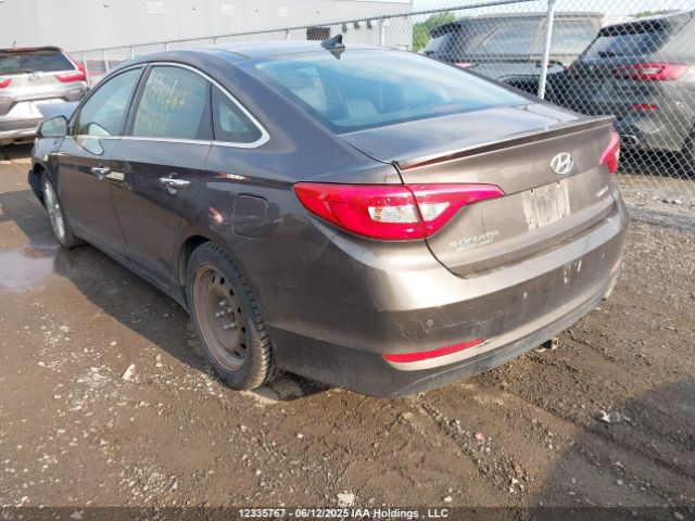 5NPE34AFXFH236996 Hyundai Sonata Limited