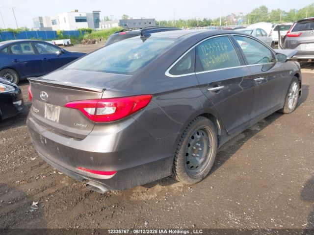 5NPE34AFXFH236996 Hyundai Sonata Limited