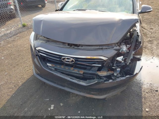 5NPE34AFXFH236996 Hyundai Sonata Limited