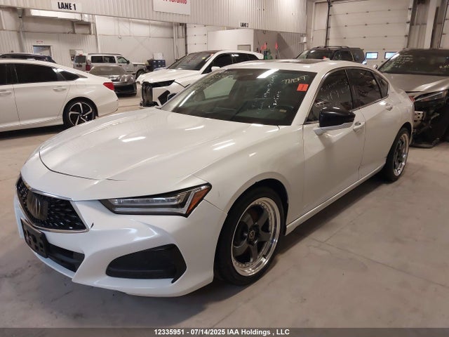 19UUB6F49MA802038 Acura k20c6
