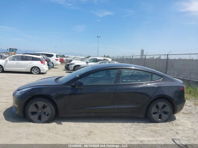 5YJ3E1EBXNF299682 Tesla MODEL 3