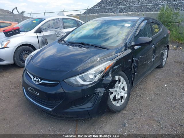 5NPDH4AE4GH798687 Hyundai ELANTRA GL