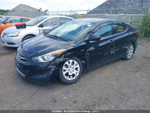 5NPDH4AE4GH798687 Hyundai ELANTRA GL