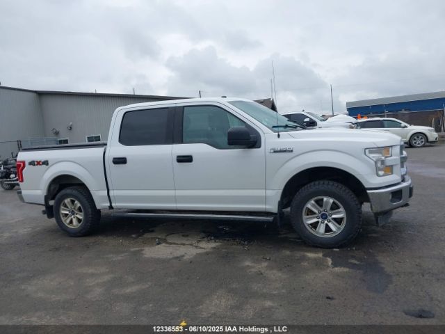 1FTEW1E86HFB78139 Ford F150 Supercrew