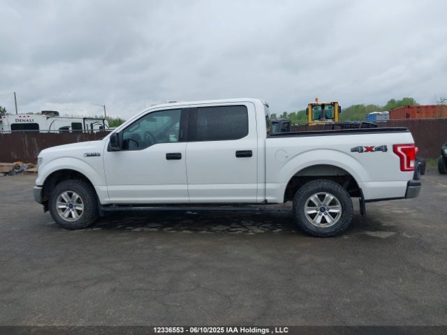 1FTEW1E86HFB78139 Ford F150 Supercrew
