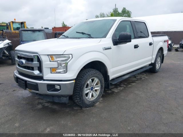 1FTEW1E86HFB78139 Ford F150 Supercrew
