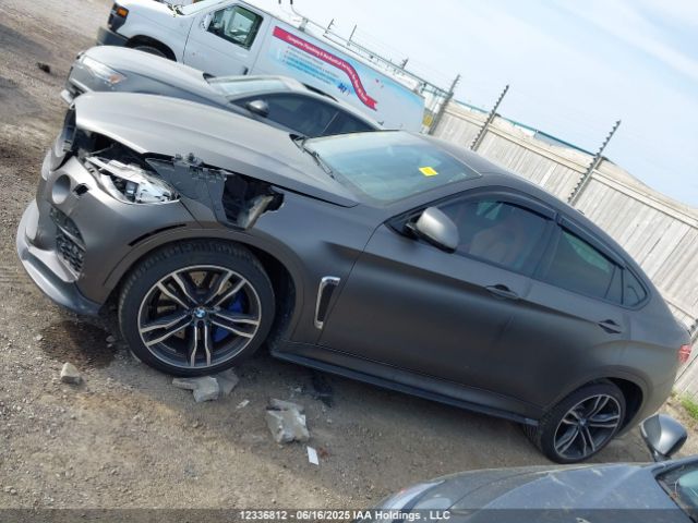 5YMKW8C56G0R43847 BMW X6