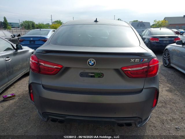 5YMKW8C56G0R43847 BMW X6