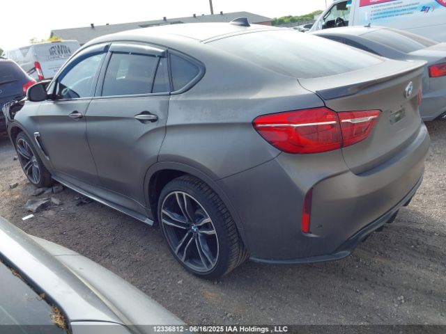 5YMKW8C56G0R43847 BMW X6