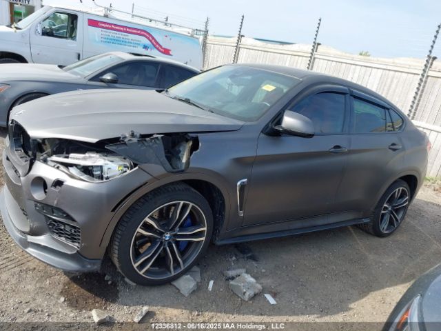 5YMKW8C56G0R43847 BMW X6