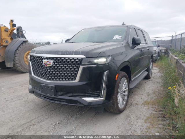 1GYS4JKT3RR393571 Cadillac Escalade Esv Luxury